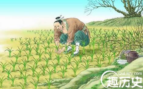 欲速则不达的故事