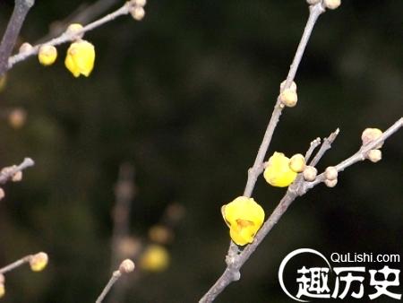 古代皇帝立春需行“籍田礼” ：最早可追溯至西周