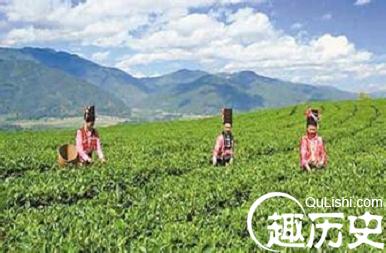 德昂族文化 德昂族茶文化是怎样发展的
