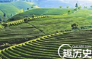 汉族历史 汉族农业发展史简介