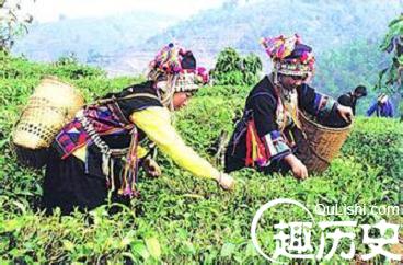 哈尼族的历史是怎样的？其发展又是怎样的