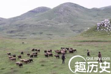 苗族迁徙史 苗族人都经历过几次历史性迁徙