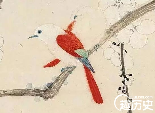 描写鸟的诗句：古诗词里哪些鸟的出镜率比较高？