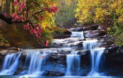 成语“高山流水”该如何理解呢?又有怎样的历史故事呢?