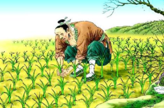 成语&ldquo;揠苗助长&rdquo;出自哪里？其中又有哪些历史典故呢？